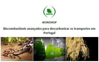 Workshop Biocombustíveis avançados para descarbonizar os transportes em Portugal